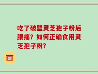 吃了破壁灵芝孢子粉后腰痛？如何正确食用灵芝孢子粉？