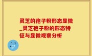 灵芝的孢子粉形态显微_灵芝孢子粉的形态特征与显微观察分析