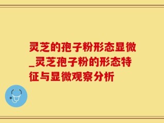 灵芝的孢子粉形态显微_灵芝孢子粉的形态特征与显微观察分析
