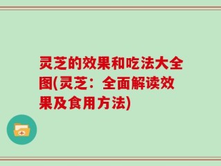 灵芝的效果和吃法大全图(灵芝：全面解读效果及食用方法)