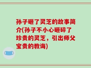 孙子砸了灵芝的故事简介(孙子不小心砸碎了珍贵的灵芝，引出师父宝贵的教诲)