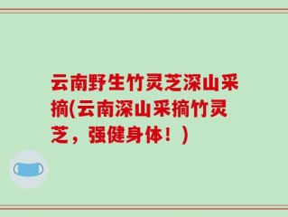 云南野生竹灵芝深山采摘(云南深山采摘竹灵芝，强健身体！)