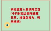 枸杞鹿茸人参锁阳灵芝(中药材组合锁阳鹿茸花草，增强免疫力、预防疾病)