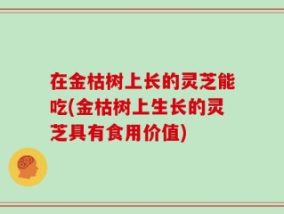 在金枯树上长的灵芝能吃(金枯树上生长的灵芝具有食用价值)
