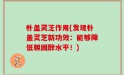 朴盖灵芝作用(发现朴盖灵芝新功效：能够降低胆固醇水平！)