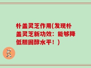 朴盖灵芝作用(发现朴盖灵芝新功效：能够降低胆固醇水平！)