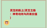 灵芝的路上(灵芝之路：神奇功效与药用价值)