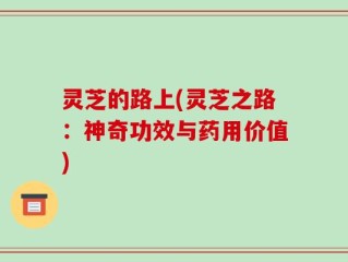 灵芝的路上(灵芝之路：神奇功效与药用价值)