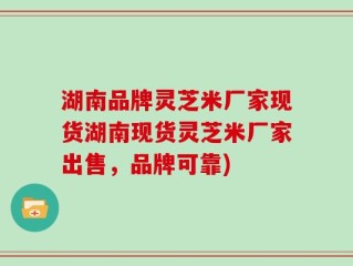 湖南品牌灵芝米厂家现货湖南现货灵芝米厂家出售，品牌可靠)