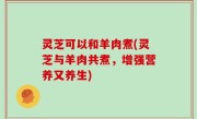 灵芝可以和羊肉煮(灵芝与羊肉共煮，增强营养又养生)