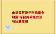山货灵芝孢子粉采集全知道 探秘其采集方法与注意事项