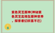 紫色灵芝原神(神秘紫色灵芝出现在原神世界，探索者们欣喜不已)