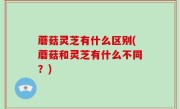 蘑菇灵芝有什么区别(蘑菇和灵芝有什么不同？)