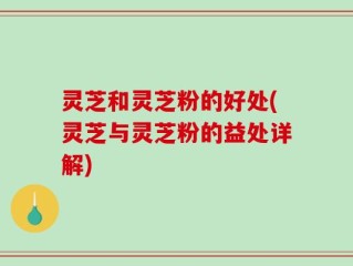灵芝和灵芝粉的好处(灵芝与灵芝粉的益处详解)