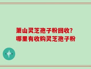 萧山灵芝孢子粉回收？哪里有收购灵芝孢子粉