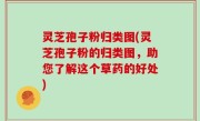 灵芝孢子粉归类图(灵芝孢子粉的归类图，助您了解这个草药的好处)
