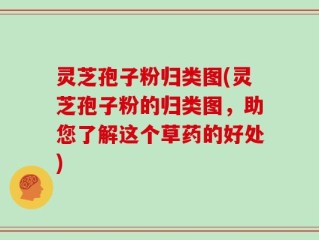灵芝孢子粉归类图(灵芝孢子粉的归类图，助您了解这个草药的好处)