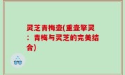 灵芝青梅壶(重壶擎灵：青梅与灵芝的完美结合)