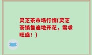 灵芝茶市场行情(灵芝茶销售遍地开花，需求旺盛！)