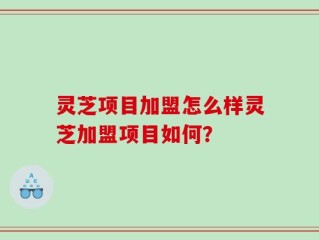 灵芝项目加盟怎么样灵芝加盟项目如何？