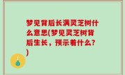 梦见背后长满灵芝树什么意思(梦见灵芝树背后生长，预示着什么？)