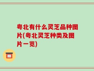 粤北有什么灵芝品种图片(粤北灵芝种类及图片一览)