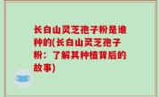 长白山灵芝孢子粉是谁种的(长白山灵芝孢子粉：了解其种植背后的故事)
