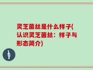 灵芝菌丝是什么样子(认识灵芝菌丝：样子与形态简介)