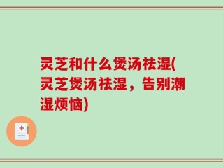 灵芝和什么煲汤祛湿(灵芝煲汤祛湿，告别潮湿烦恼)