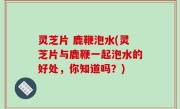 灵芝片 鹿鞭泡水(灵芝片与鹿鞭一起泡水的好处，你知道吗？)