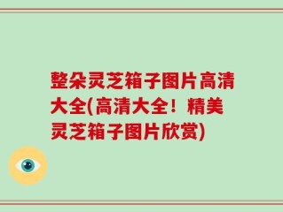 整朵灵芝箱子图片高清大全(高清大全！精美灵芝箱子图片欣赏)