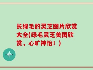 长绿毛的灵芝图片欣赏大全(绿毛灵芝美图欣赏，心旷神怡！)