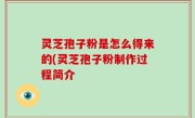 灵芝孢子粉是怎么得来的(灵芝孢子粉制作过程简介