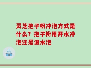 灵芝孢子粉冲泡方式是什么？孢子粉用开水冲泡还是温水泡