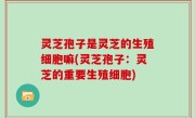 灵芝孢子是灵芝的生殖细胞嘛(灵芝孢子：灵芝的重要生殖细胞)