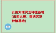云南大理灵芝种植基地(云南大理：探访灵芝种植基地)