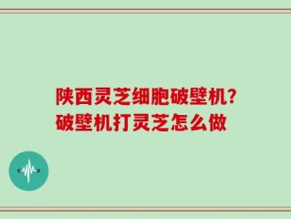陕西灵芝细胞破壁机？破壁机打灵芝怎么做
