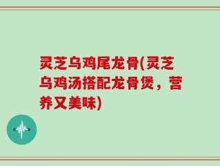 灵芝乌鸡尾龙骨(灵芝乌鸡汤搭配龙骨煲，营养又美味)