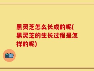 黑灵芝怎么长成的呢(黑灵芝的生长过程是怎样的呢)