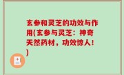 玄参和灵芝的功效与作用(玄参与灵芝：神奇天然药材，功效惊人！)