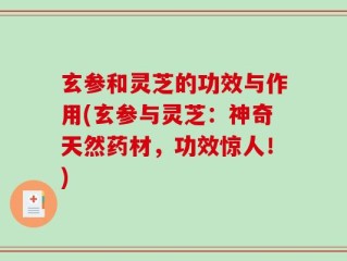 玄参和灵芝的功效与作用(玄参与灵芝：神奇天然药材，功效惊人！)