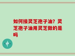如何接灵芝孢子油？灵芝孢子油用灵芝做的是吗