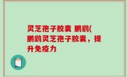 灵芝孢子胶囊 鹏鹞(鹏鹞灵芝孢子胶囊，提升免疫力