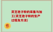 灵芝孢子粉的采集与加工(灵芝孢子粉的生产过程及方法)