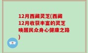 12月西藏灵芝(西藏12月收获丰富的灵芝唤醒民众身心健康之路)