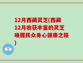 12月西藏灵芝(西藏12月收获丰富的灵芝唤醒民众身心健康之路)