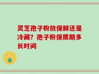 灵芝孢子粉放保鲜还是冷藏？孢子粉保质期多长时间