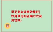 灵芝怎么饮用效果好(饮用灵芝的正确方式及其功效)