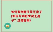 如何鉴别野生灵芝孢子(如何分辨野生灵芝孢子？这是答案)