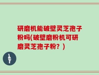 研磨机能破壁灵芝孢子粉吗(破壁磨粉机可研磨灵芝孢子粉？)